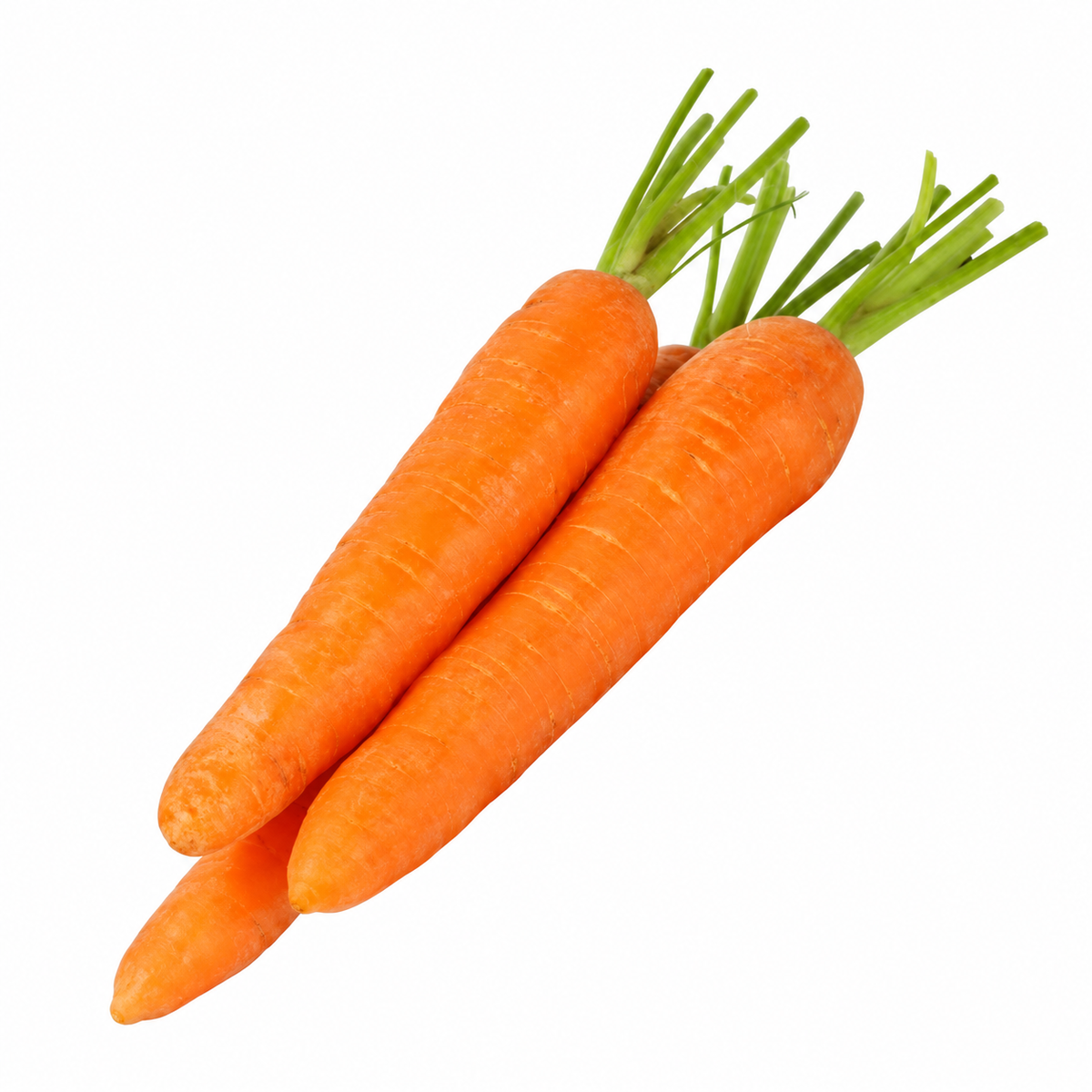 Carottes sur fond blanc, cadrage harmonisé