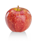 Pommes Gala