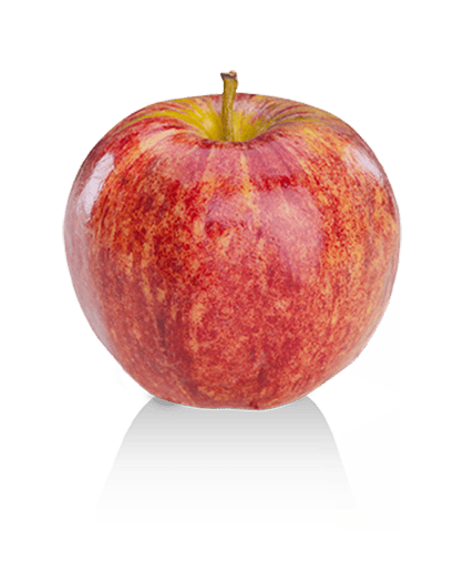 Pommes Gala