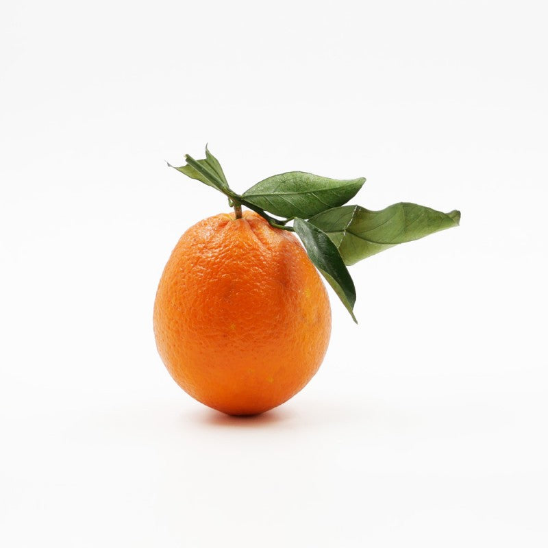 Oranges à feuilles